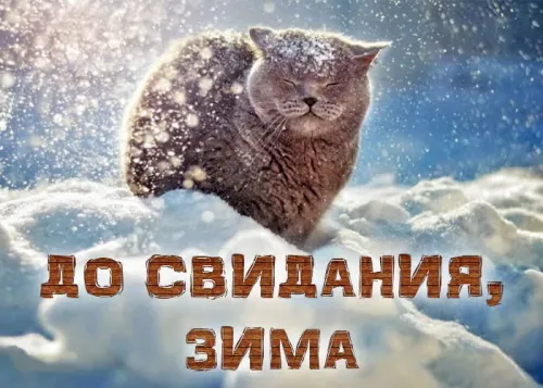 Открытки на последний день зимы (170 картинок). Прикольные картинки