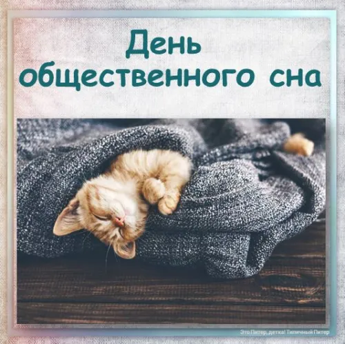 Открытки на День сна в общественных местах (15 картинок). День общественного сна - картинки с надписями