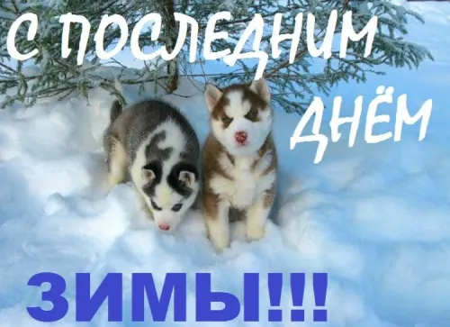 Открытки на последний день зимы (170 картинок). Прикольные картинки