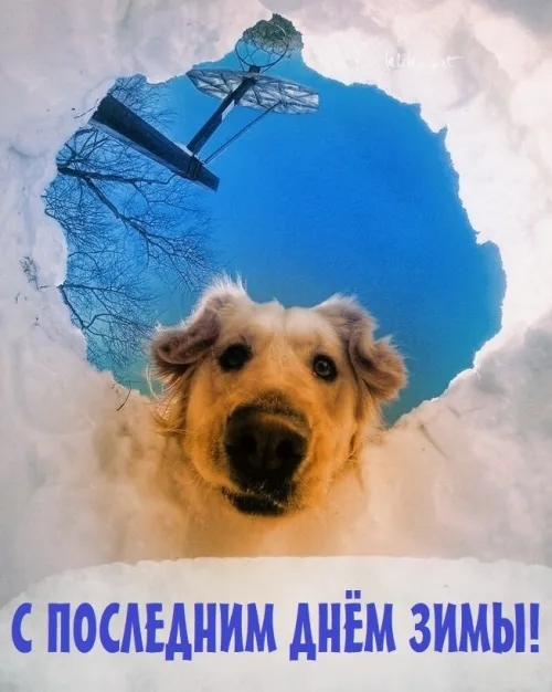 Открытки на последний день зимы (170 картинок). Прикольные картинки