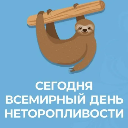 Открытки на Всемирный день неторопливости (30 картинок). Прикольные картинки с Днем неторопливости