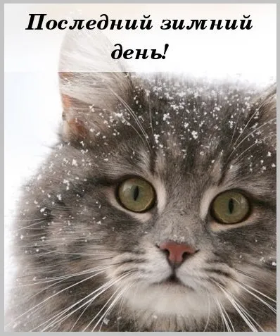 Открытки на последний день зимы (170 картинок). Прикольные картинки