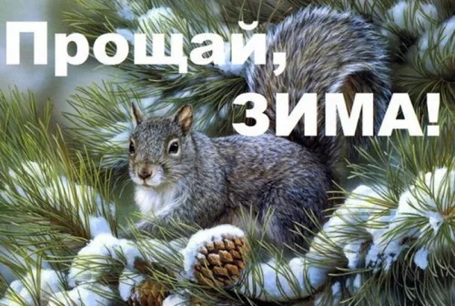 Открытки на последний день зимы (170 картинок). Красивые открытки