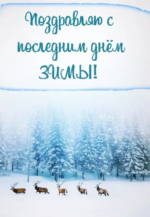 Открытки на последний день зимы (170 картинок). Прикольные картинки