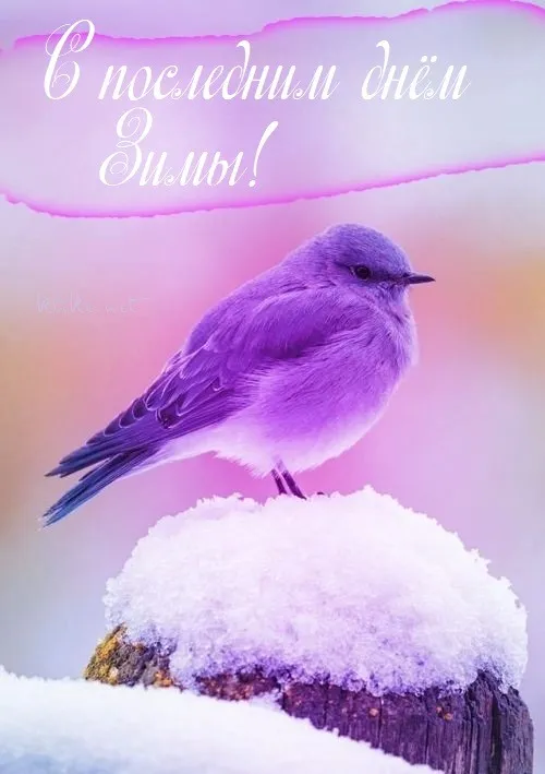 Открытки на последний день зимы (170 картинок). Прикольные картинки