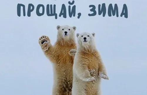 Открытки на последний день зимы (170 картинок). Красивые открытки