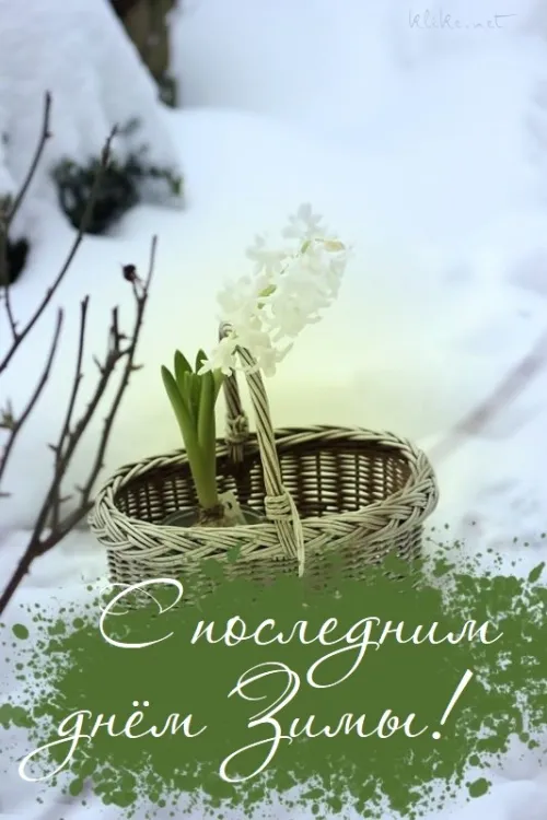 Открытки на последний день зимы (170 картинок). Прикольные картинки