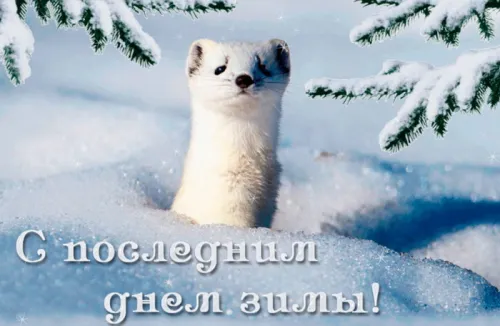 Открытки на последний день зимы (170 картинок). Красивые открытки
