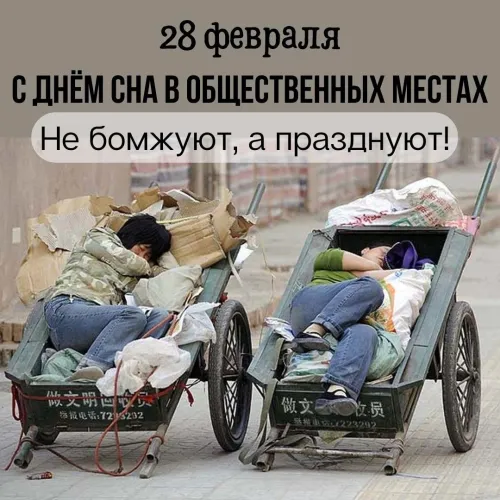 Открытки на День сна в общественных местах (15 картинок). Прикольные картинки и открытки с Днем сна в общественных местах