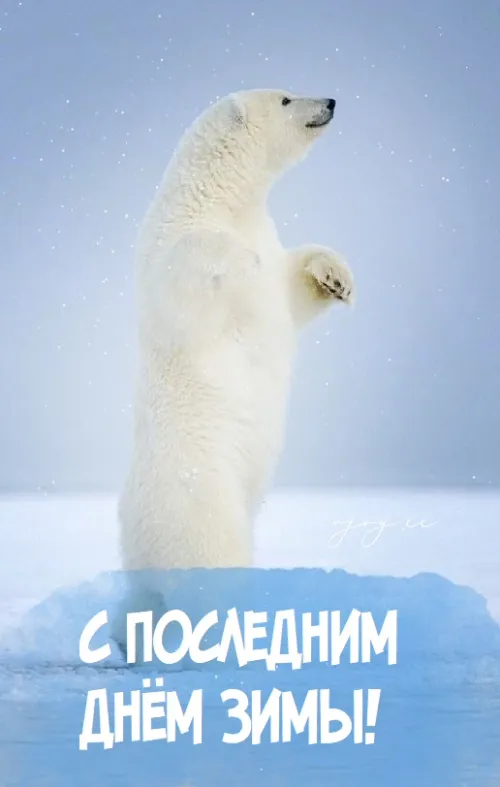 Открытки на последний день зимы (170 картинок). Красивые открытки