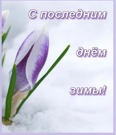 Открытки на последний день зимы (170 картинок). Прикольные картинки