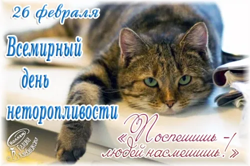 Открытки на Всемирный день неторопливости (30 картинок). Прикольные картинки с Днем неторопливости