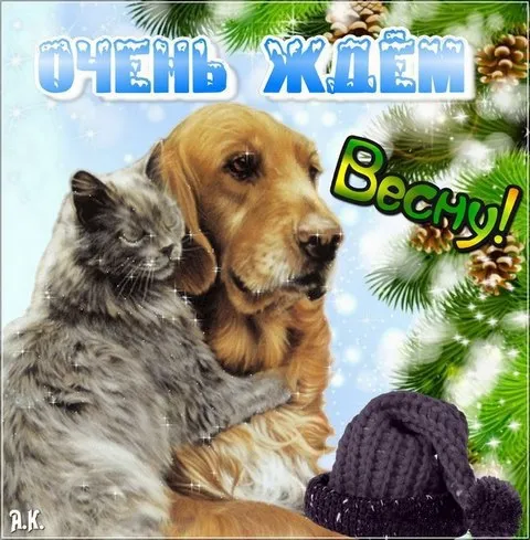 Открытки на последний день зимы (170 картинок). Красивые открытки