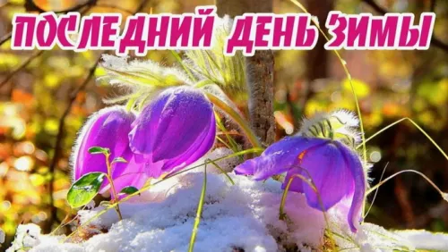 Открытки на последний день зимы (170 картинок). Красивые открытки