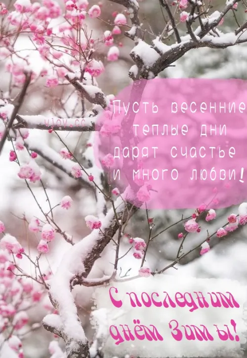 Открытки на последний день зимы (170 картинок). Прикольные картинки