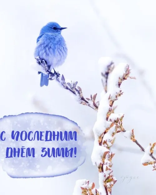Открытки на последний день зимы (170 картинок). Красивые открытки