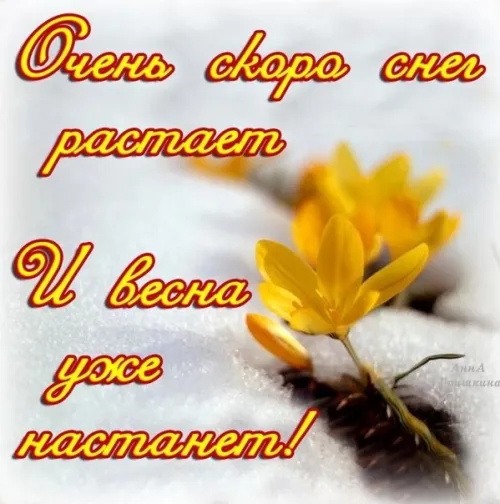 Открытки на последний день зимы (170 картинок). Прикольные картинки