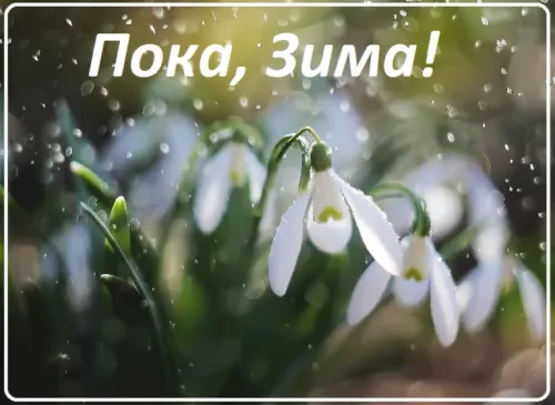 Открытки на последний день зимы (170 картинок). Прикольные картинки