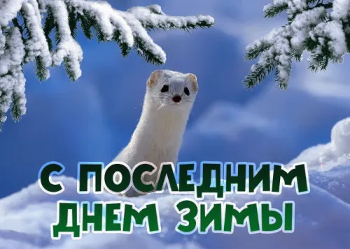 Открытки на последний день зимы (170 картинок). Красивые открытки