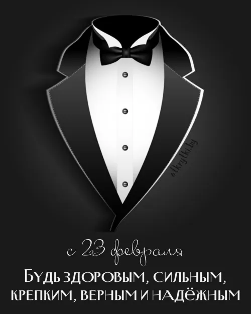 Открытки с 23 февраля (235 картинок). Прикольные открытки с Днем защитника Отечества