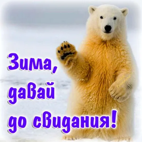 Открытки на последний день зимы (170 картинок). Красивые открытки