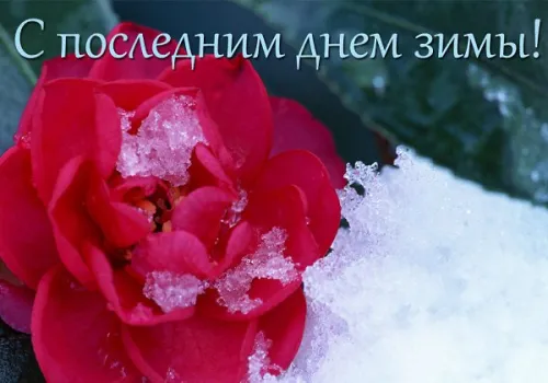 Открытки на последний день зимы (170 картинок). Прикольные картинки