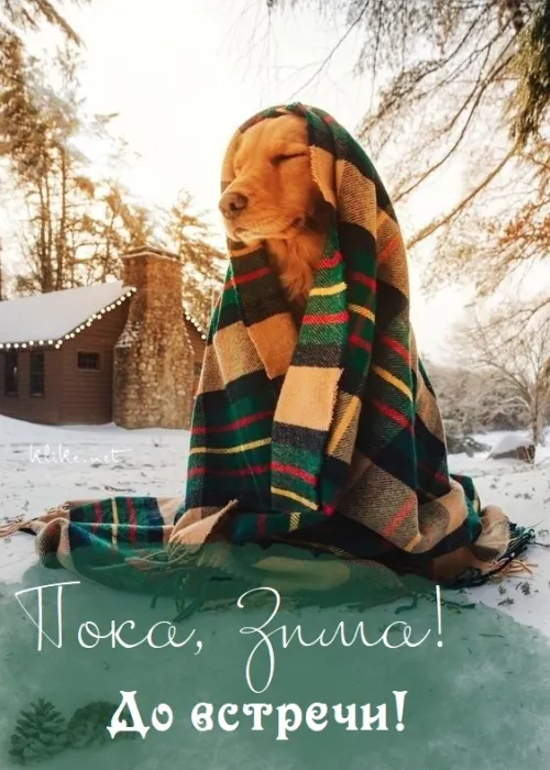 Открытки на последний день зимы (170 картинок). Прикольные картинки