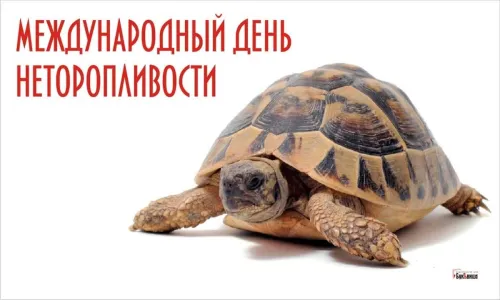 Открытки на Всемирный день неторопливости (30 картинок). Прикольные картинки с Днем неторопливости