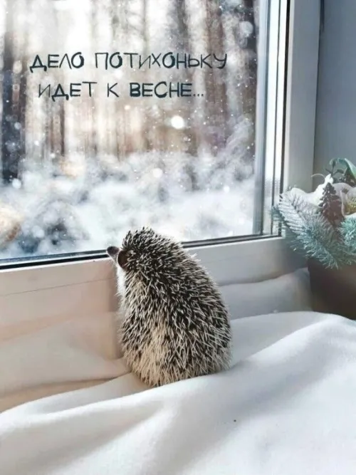 Открытки на последний день зимы (170 картинок). Красивые открытки