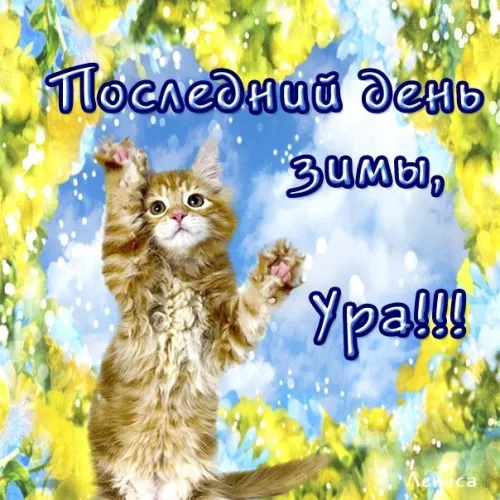 Открытки на последний день зимы (170 картинок). Прикольные картинки