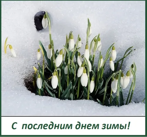 Открытки на последний день зимы (170 картинок). Прикольные картинки