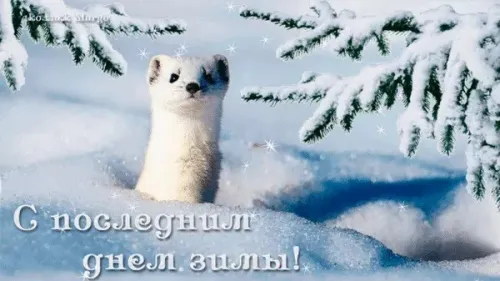 Открытки на последний день зимы (170 картинок). Прикольные картинки