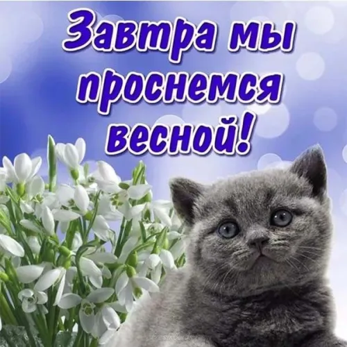 Открытки на последний день зимы (170 картинок). Прикольные картинки