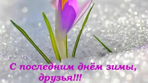 Открытки на последний день зимы (170 картинок). Прикольные картинки