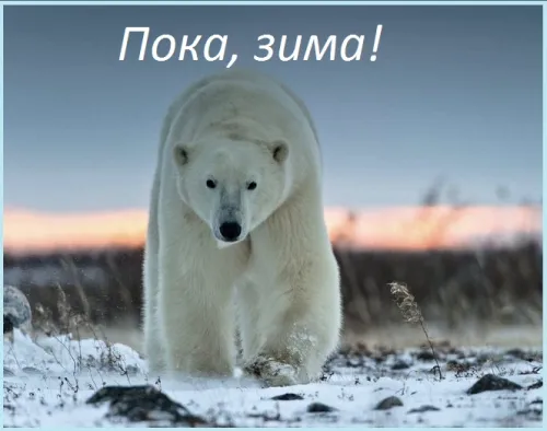 Открытки на последний день зимы (170 картинок). Прикольные картинки