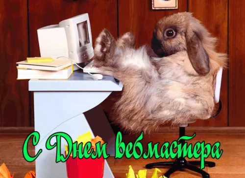 Открытки на День вебмастера (60 картинок). День веб-мастера - прикольные открытки